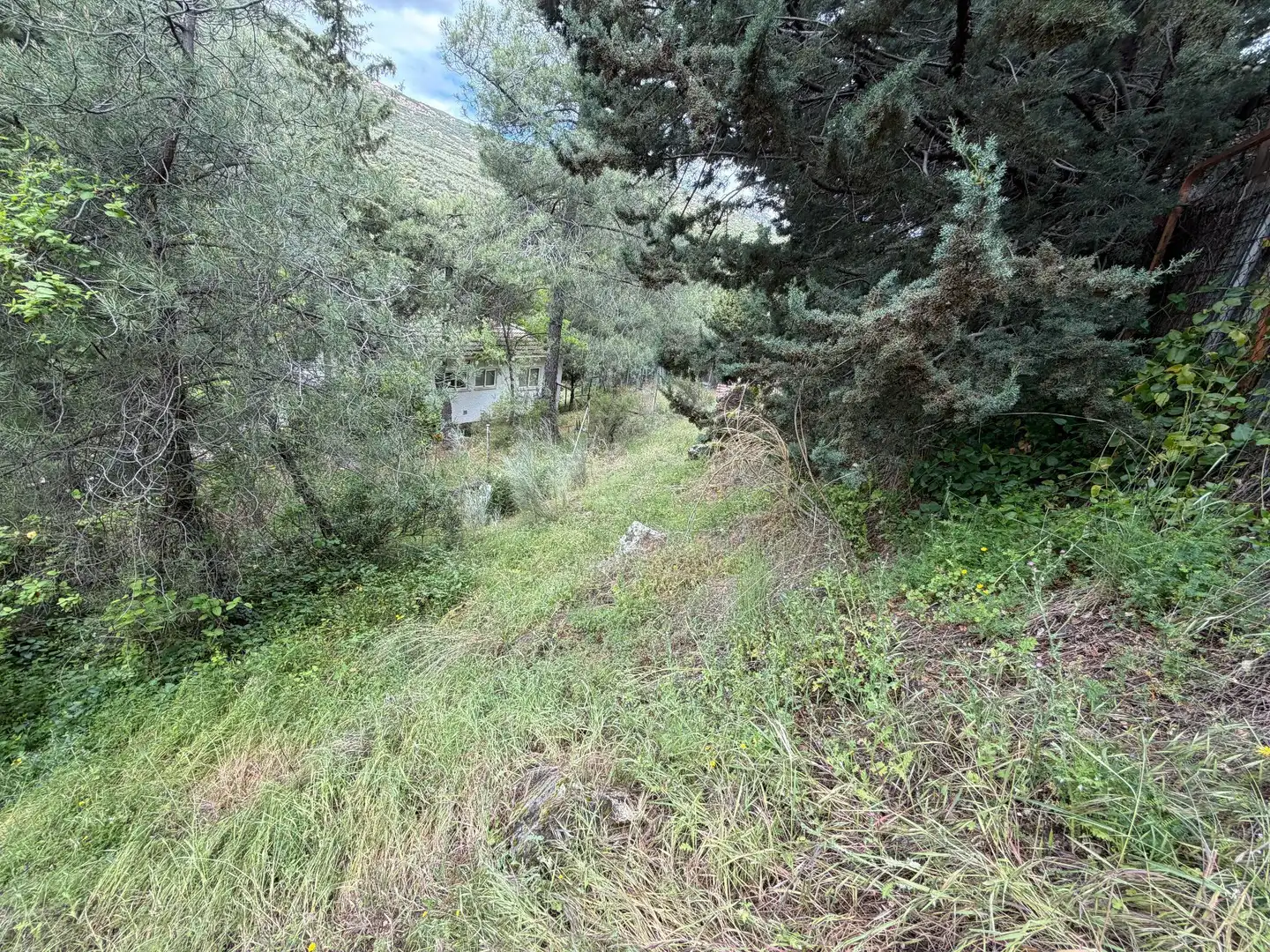 Haus mit Garten zum Verkauf in Robledo de Chavela, imagen 40