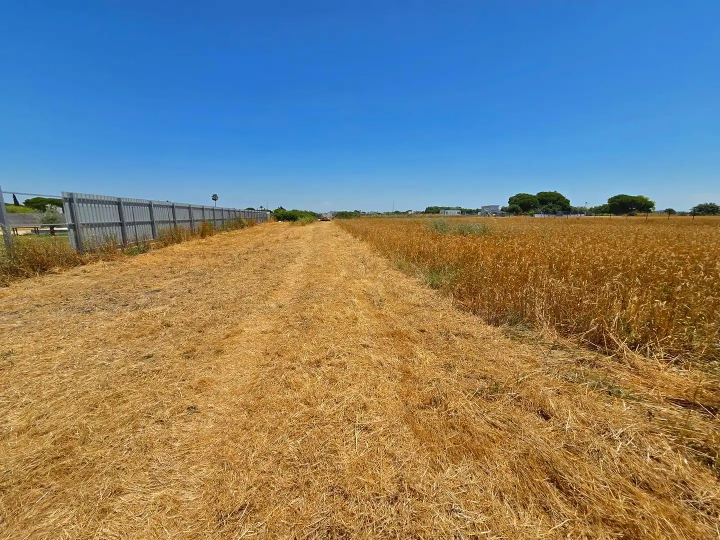 Terreno residenziale in vendita a Pelagatos - Pago del Humo, imagen 22
