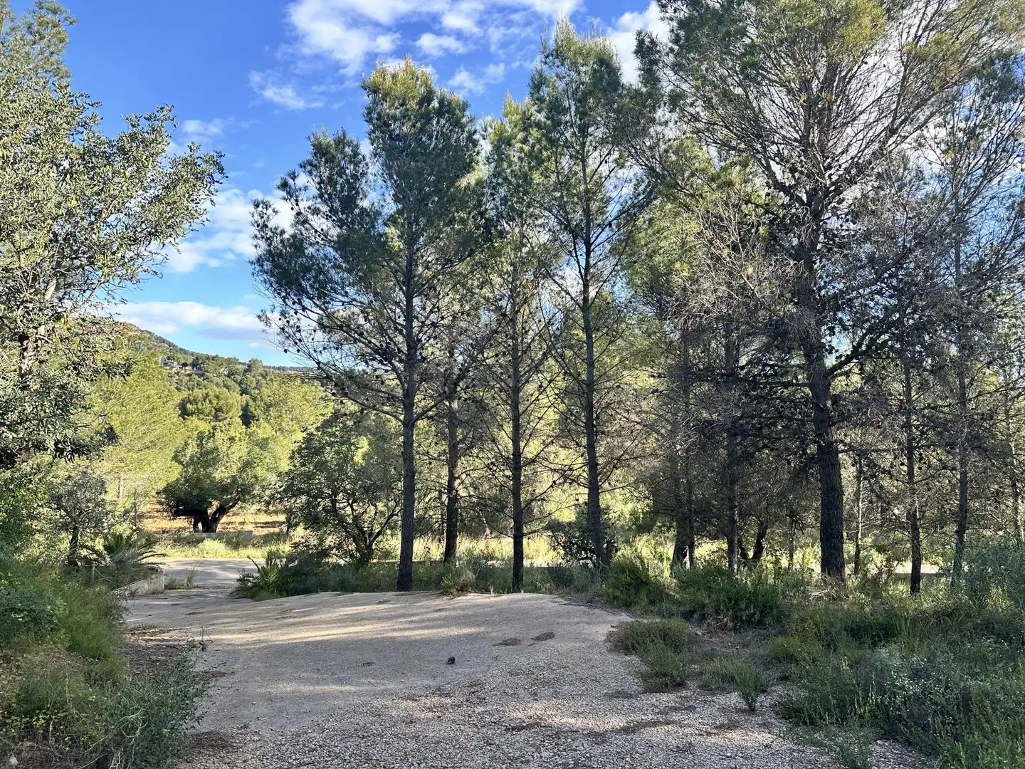 Terreny residencial en venda a Estivella, imagen 15
