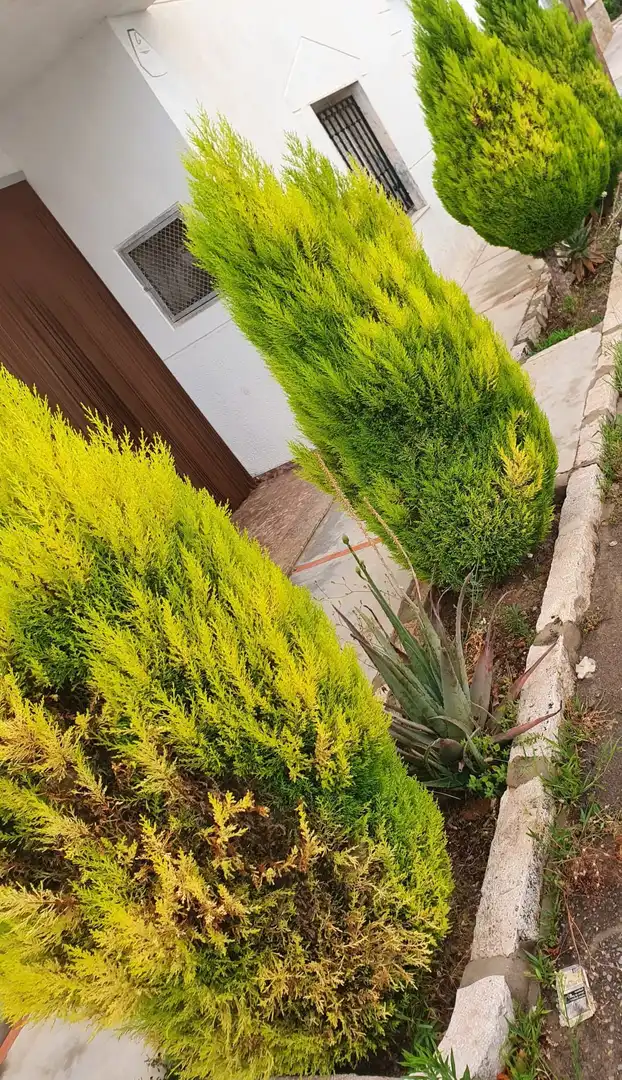 Jardí de Edifici en venda en Marines