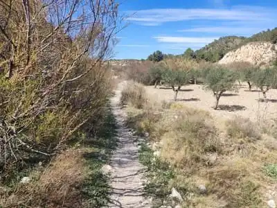 Terreny residencial en venda a Partida Castillo, imagen 2