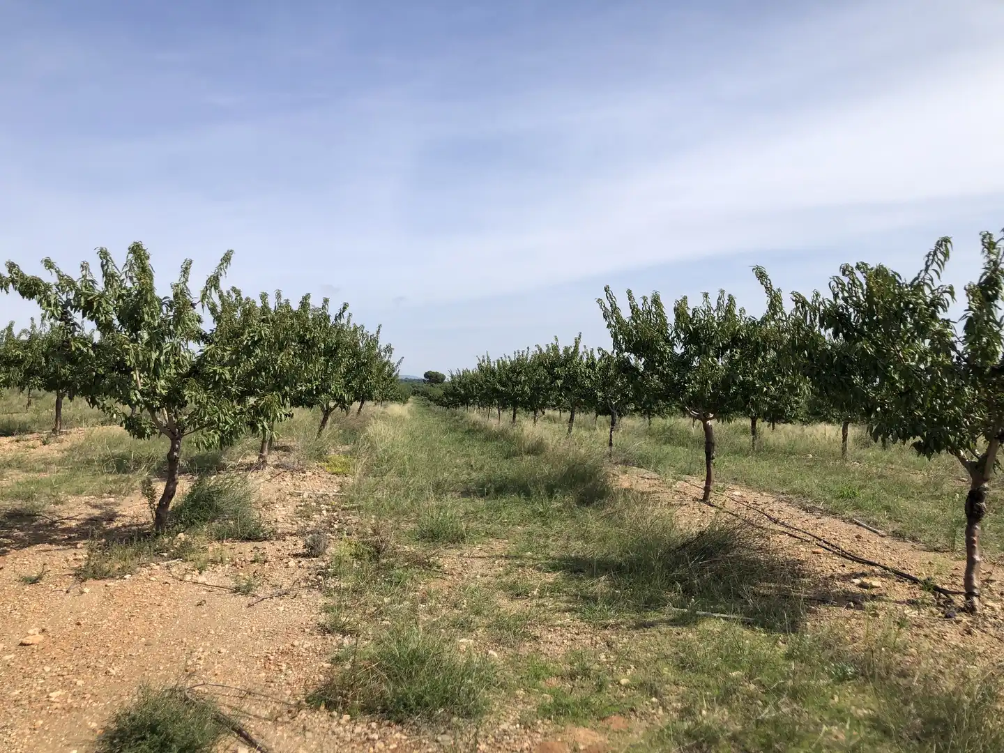 Terreno en venta en Valls