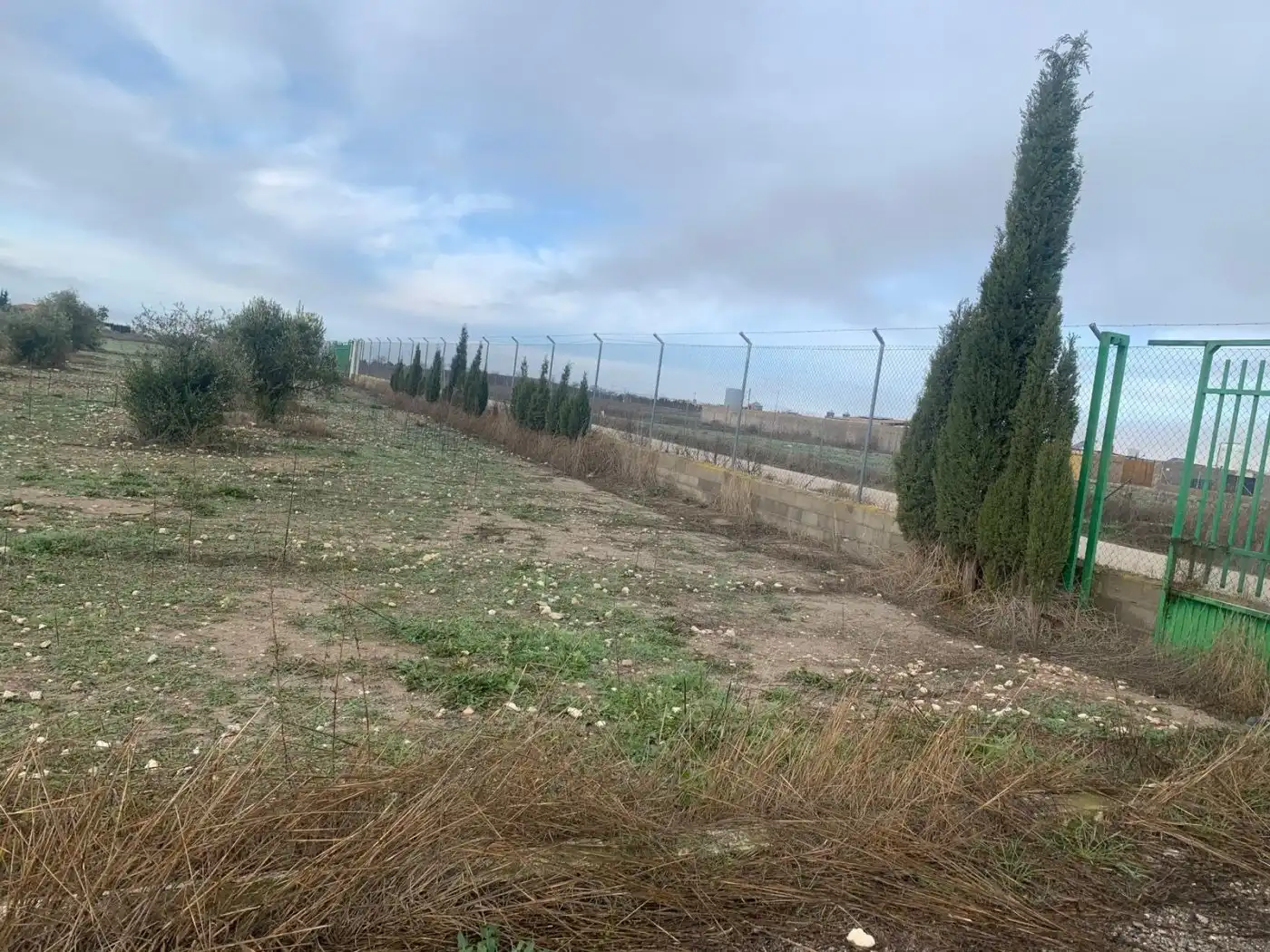 Terreni e lotti in vendita a Munera, imagen 27