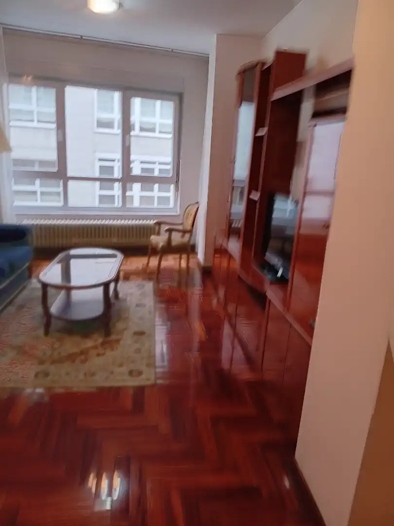 Sala d'estar de Apartament de lloguer en Lugo amb Calefacció, Parquet i Traster