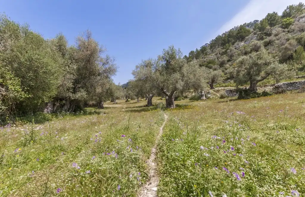 Maison rustique avec jardin à vendre à Alaró, imagen 10