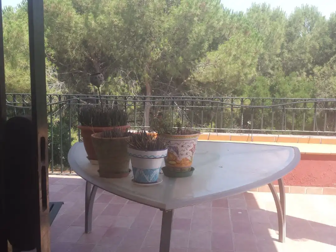Villa mit Garten zum Verkauf in Avenida Bellavista 26, imagen 27