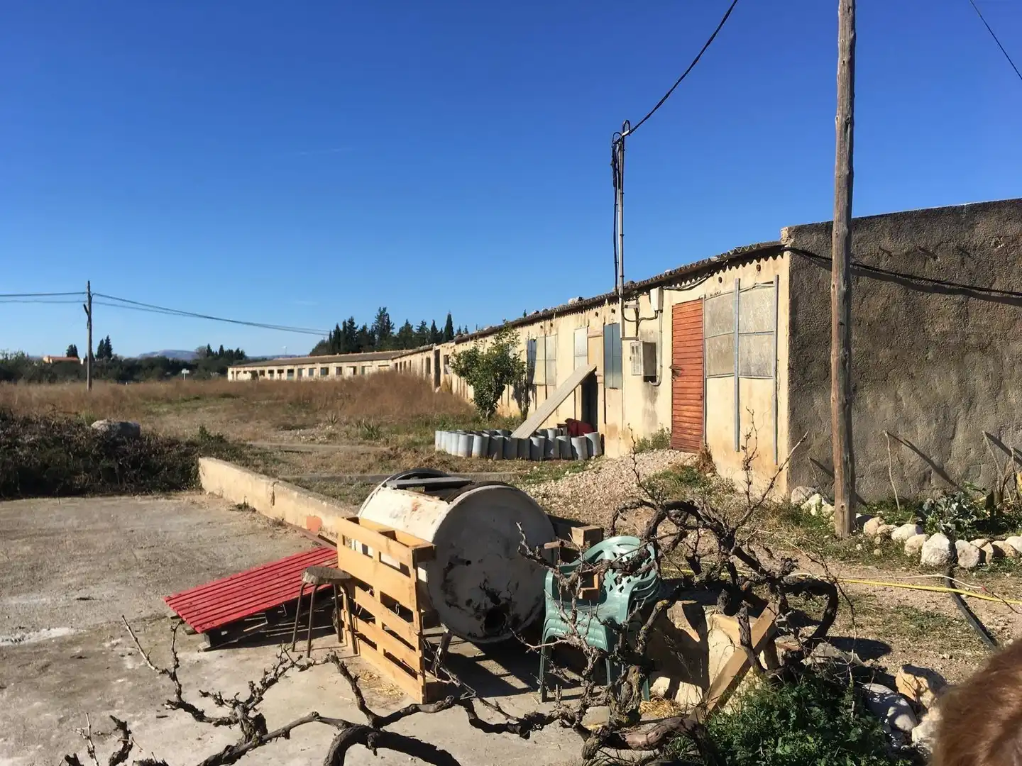 Terreny rústic en venda a Ulldecona, imagen 18