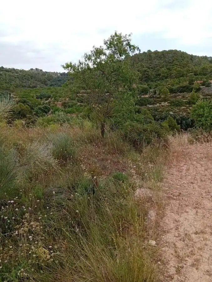 Piso en venta en Corbera d'Ebre, imagen 6