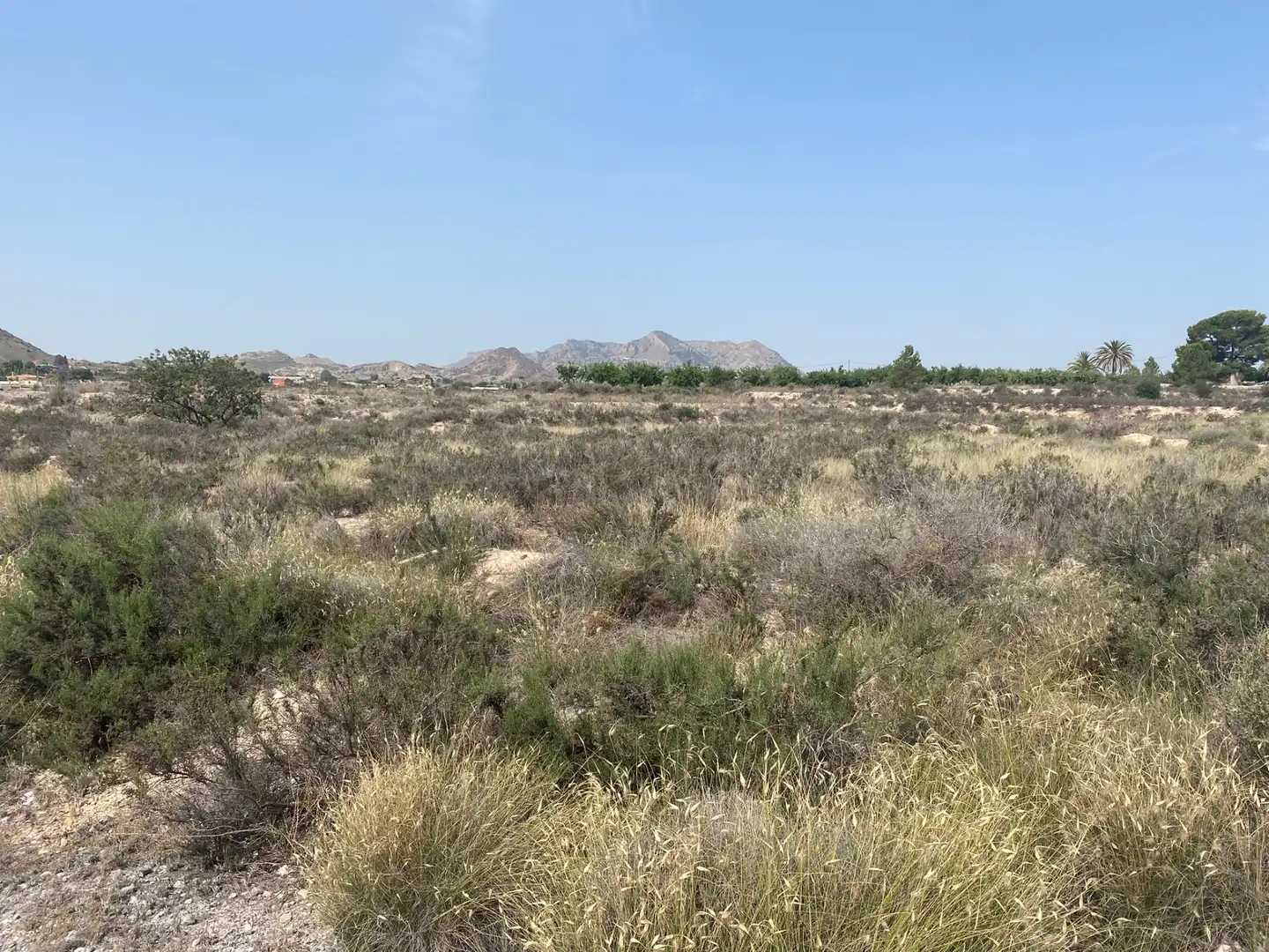 Terreno en venta en Alicante / Alacant