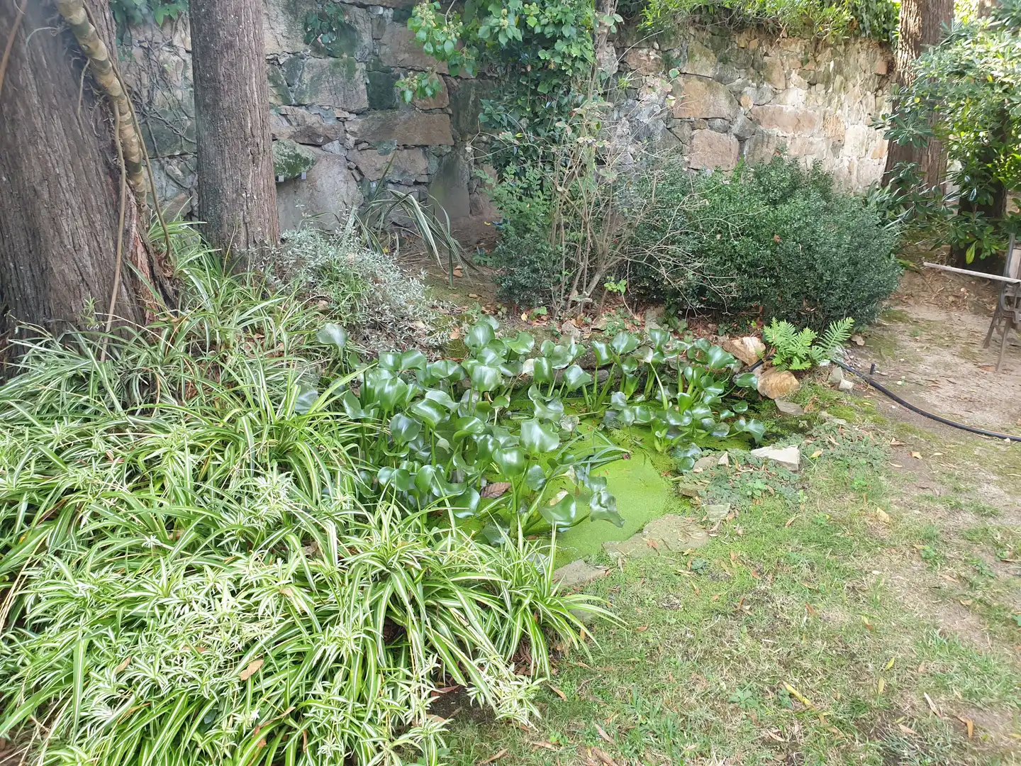 Xalet en venda a Coruxo - Oia - Saiáns, imagen 17