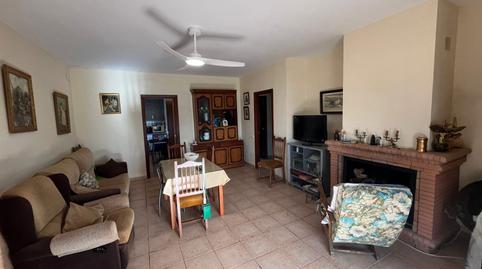 Foto 5 de Finca rústica en venda a Palma del Río, Córdoba