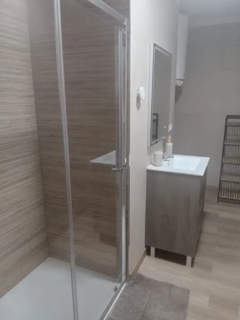 Baño de Piso de alquiler en Málaga con Aire acondicionado y Amueblado
