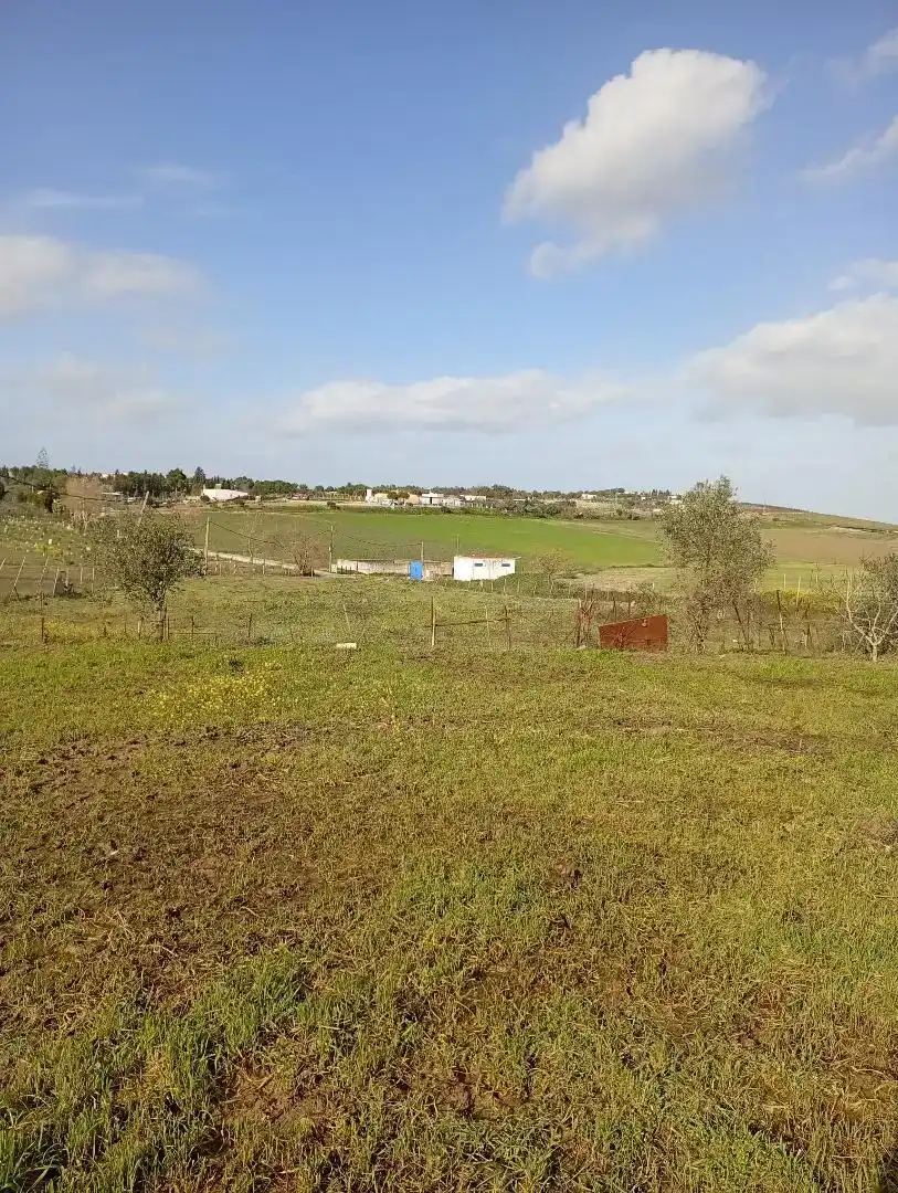 Houses for sale in Lebrija  with Private garden, Storage room and Swimming Pool
