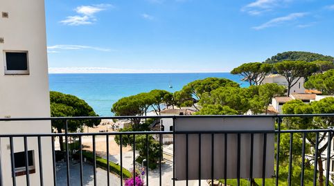 Foto 5 de Estudi en venda a La Fosca - Cala Margarida, Palamós