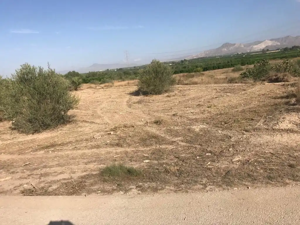 Terreno rústico en venta en Benferri, imagen 2