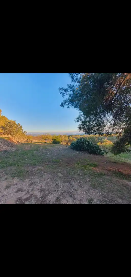 Casa en venta en Móra d'Ebre, imagen 12