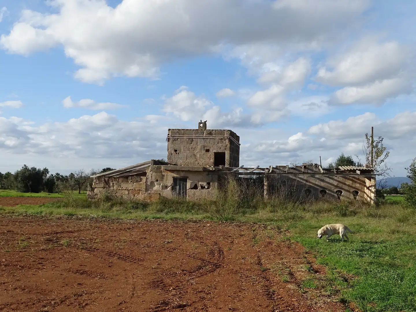 Terreno rustico in vendita a Santanyí Poble, imagen 13
