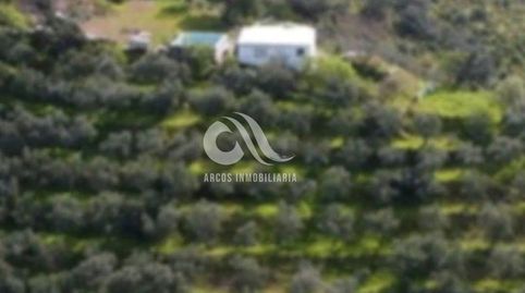 Foto 4 de Finca rústica en venta en Alcolea, Córdoba Capital