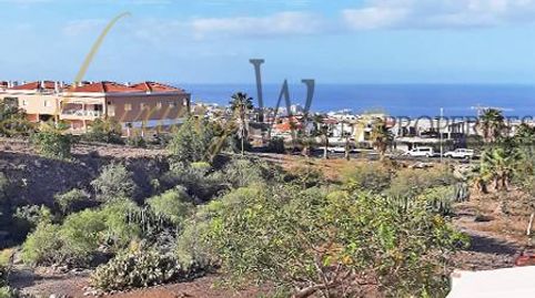 Foto 2 de Casa o chalet en venta en El Cardon, Playa Fañabé Alto, Adeje