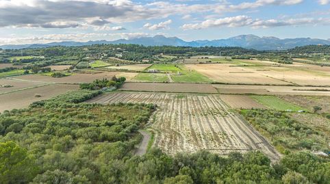 Atractivo terreno edificable entre Can Picafort y Muro  con vistas a la Sierra de Tramuntana  Obj, 9121, immagine 5