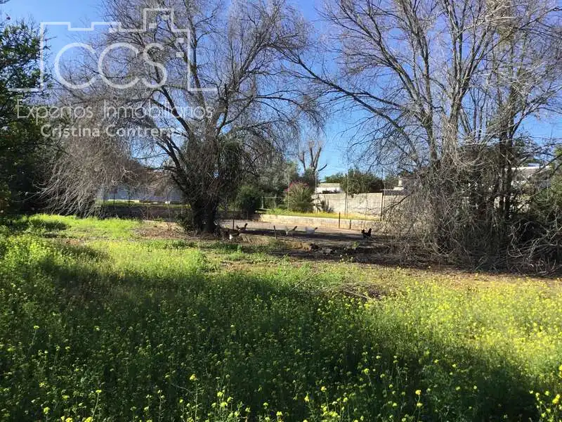 Villa avec piscine à vendre à Sanlúcar la Mayor, imagen 3