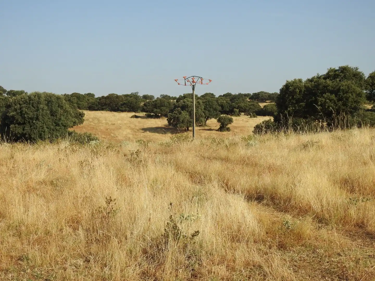 Land for sale in Villar del Pedroso