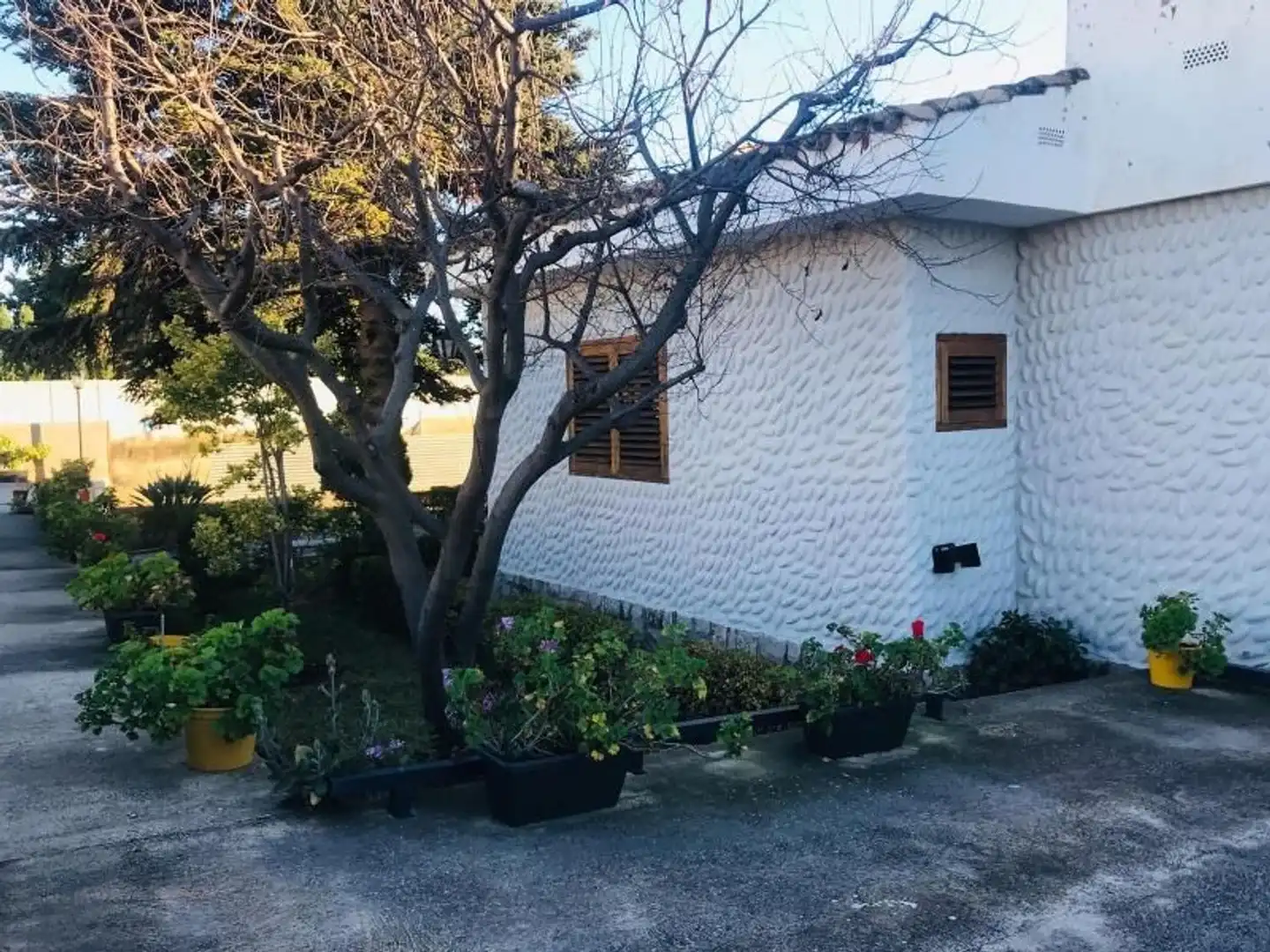 Villa con giardino in vendita a Madrigal, imagen 23