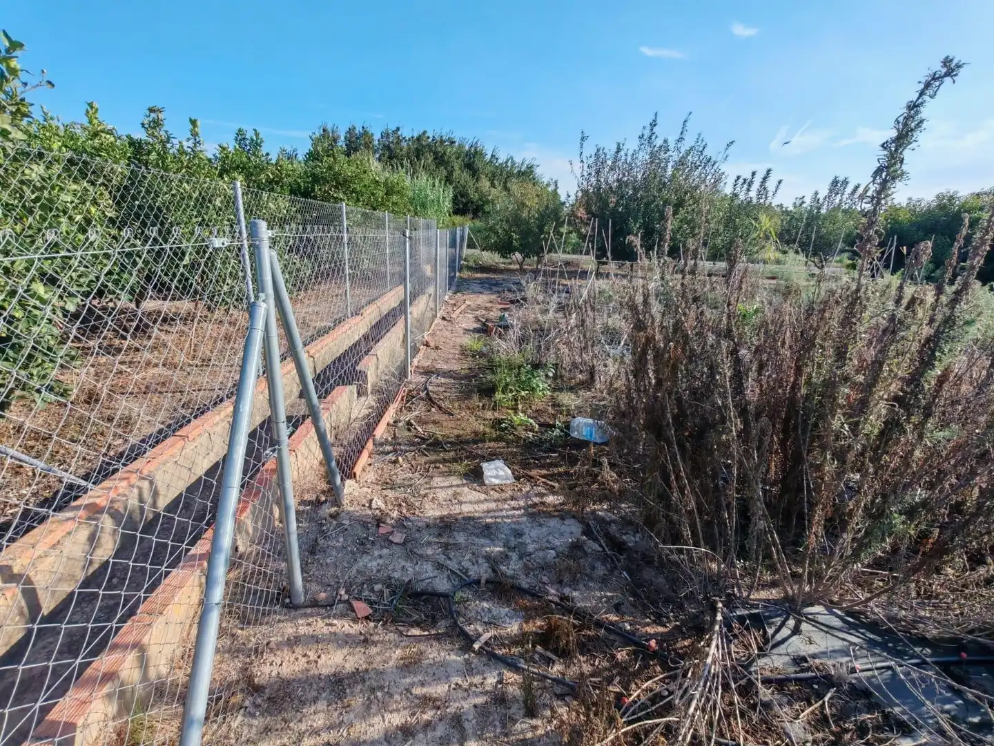 Rural land for sale in Benavites, imagen 19