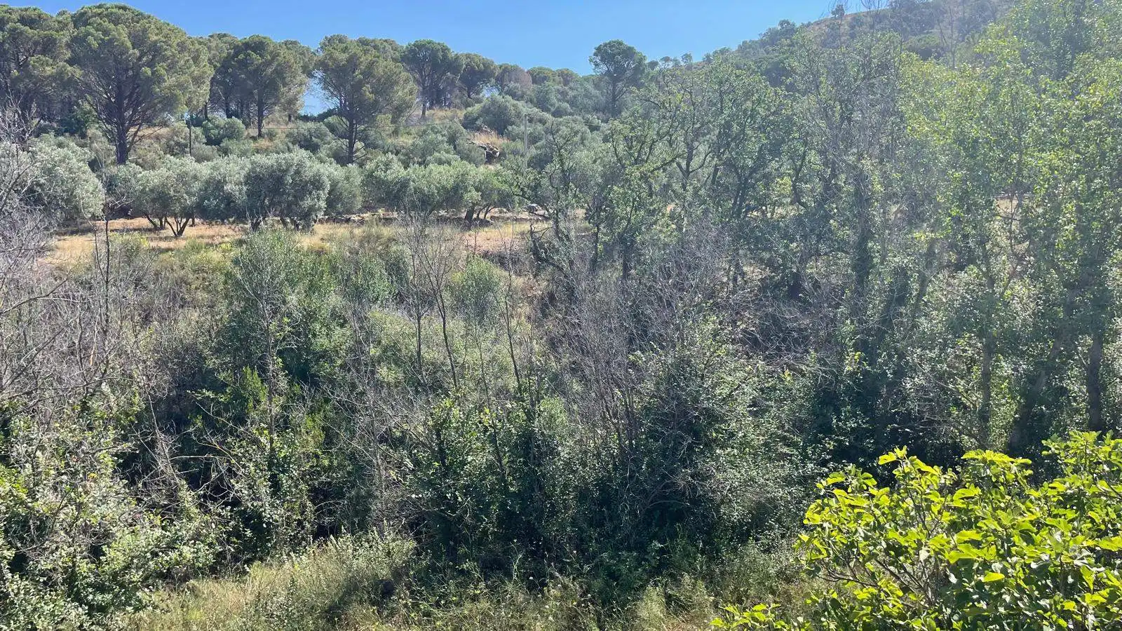Finca rústica en venta en Vilajuïga con Terraza, Trastero y Balcón