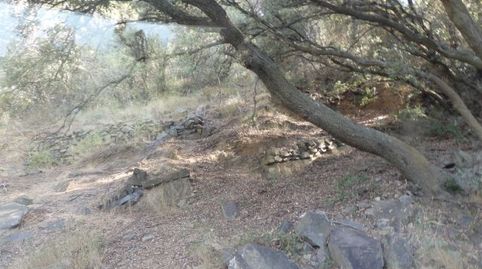 Foto 5 von Grundstücke zum Verkauf in L'Aleixar, Tarragona