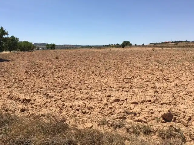 Terreno rustico in vendita a Almansa, imagen 4