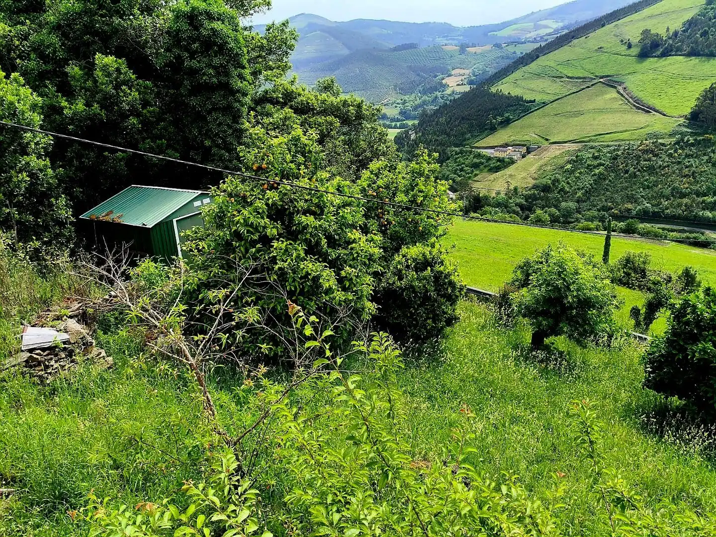 Finca rústica en venda en Vegadeo amb Calefacció i Balcó