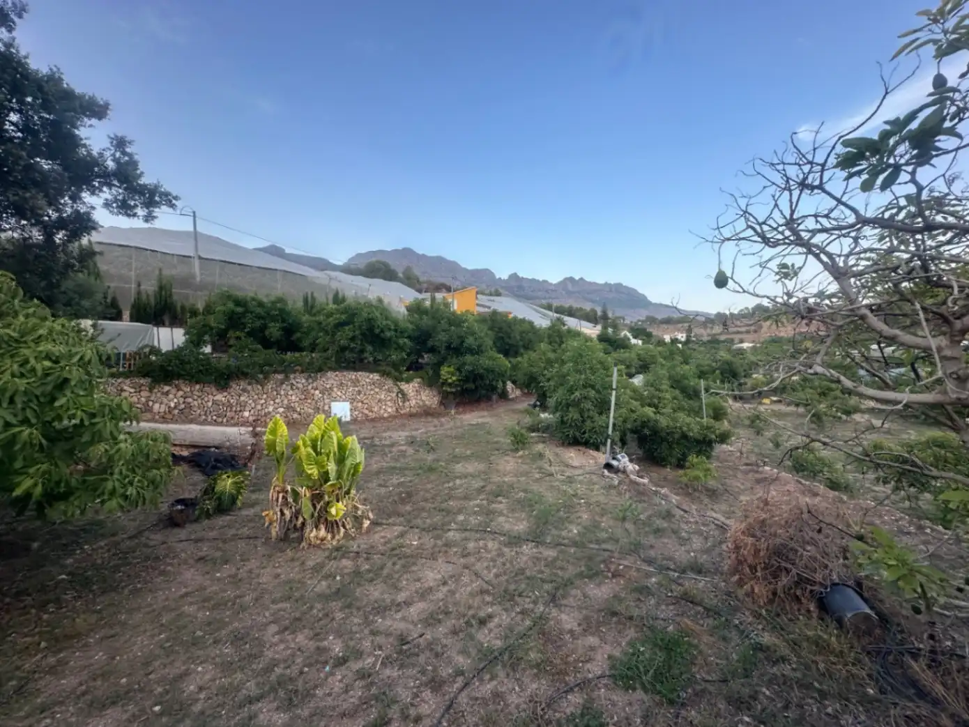 Finca rústica en venta en Callosa d'en Sarrià con Jardín privado, Terraza y Trastero