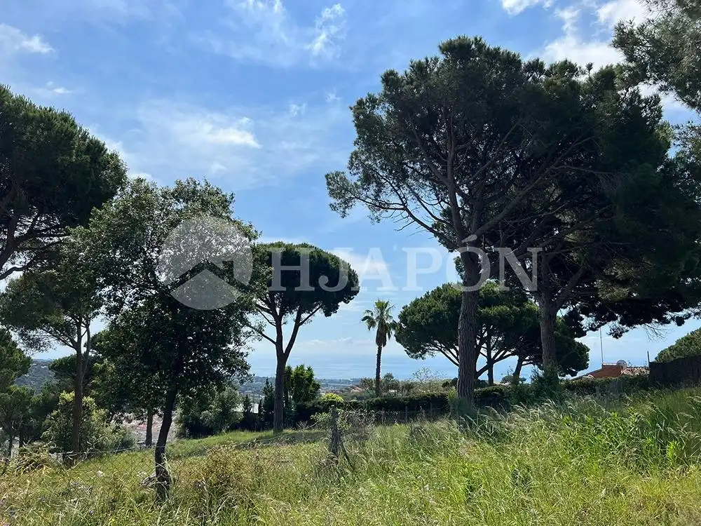 Terreny residencial en venda a El Mirador - La Cornisa, imagen 3