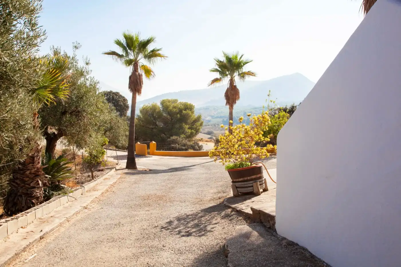 Vista exterior de Finca rústica en venda en Monda amb Jardí privat, Terrassa i Traster