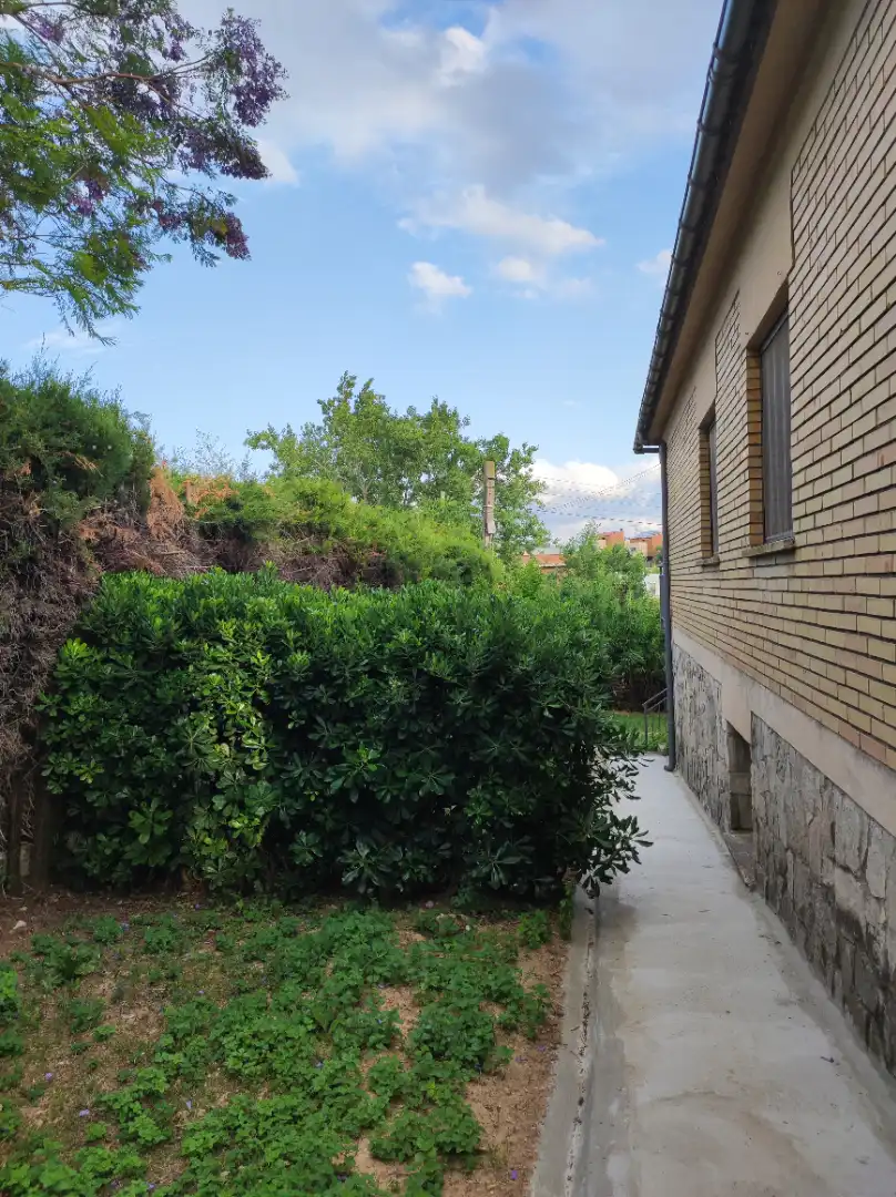 Jardí de Casa o xalet en venda en Sant Llorenç d'Hortons amb Jardí privat, Terrassa i Traster