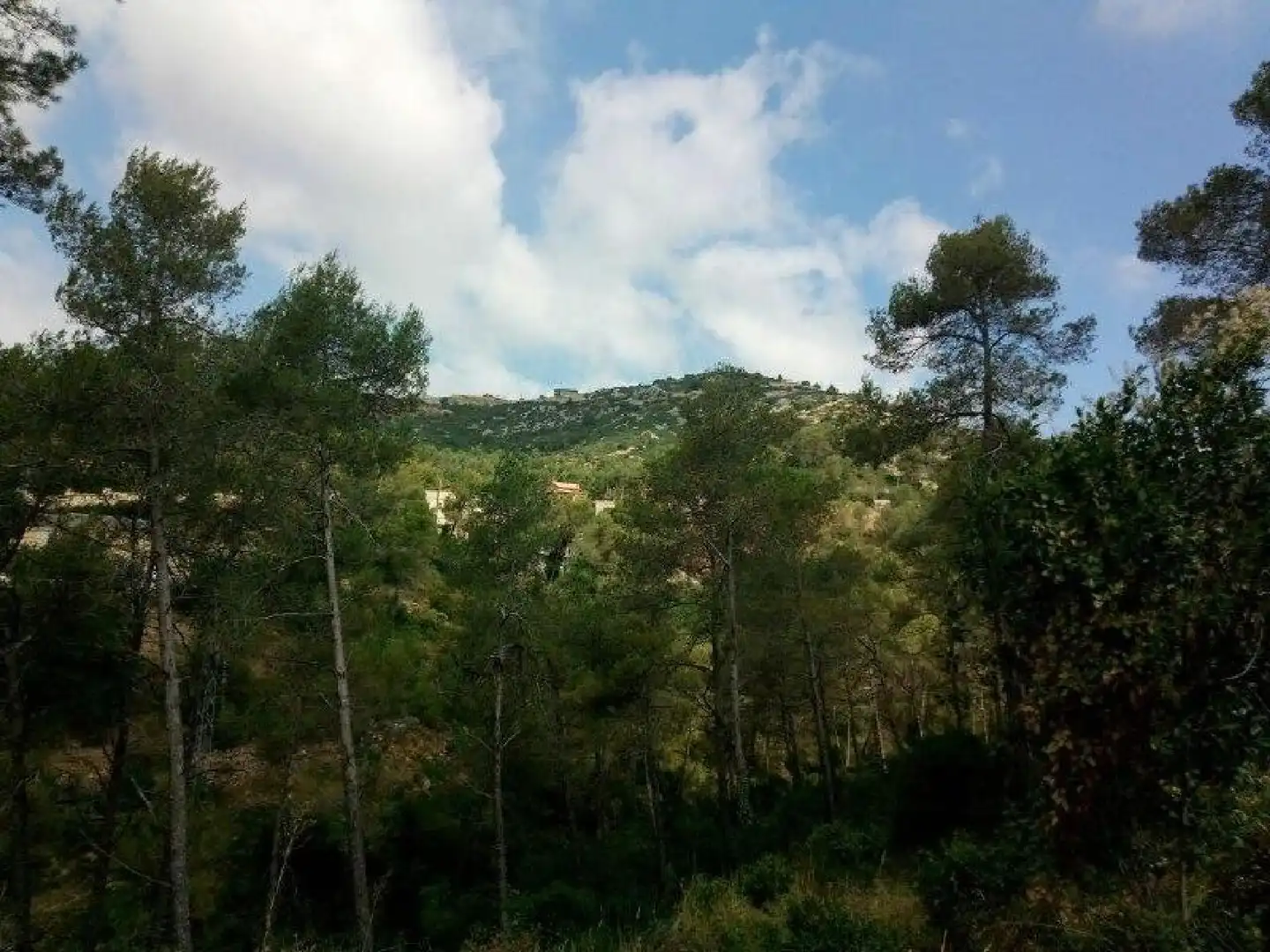 Terrenys i solars en venda a Olesa de Bonesvalls, imagen 3