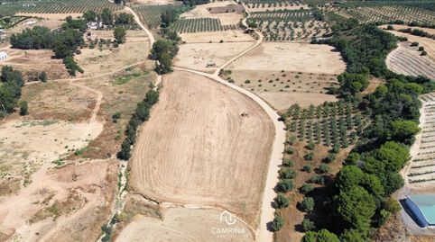 FINCAS RÚSTICAS EN TRIGUEROS, immagine 3