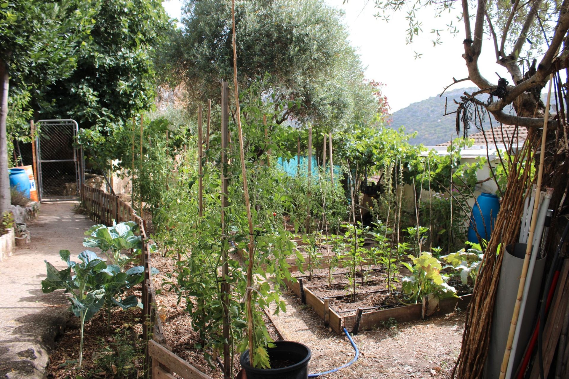 Garden of Country house for sale in Benaoján  with Private garden, Terrace and Furnished