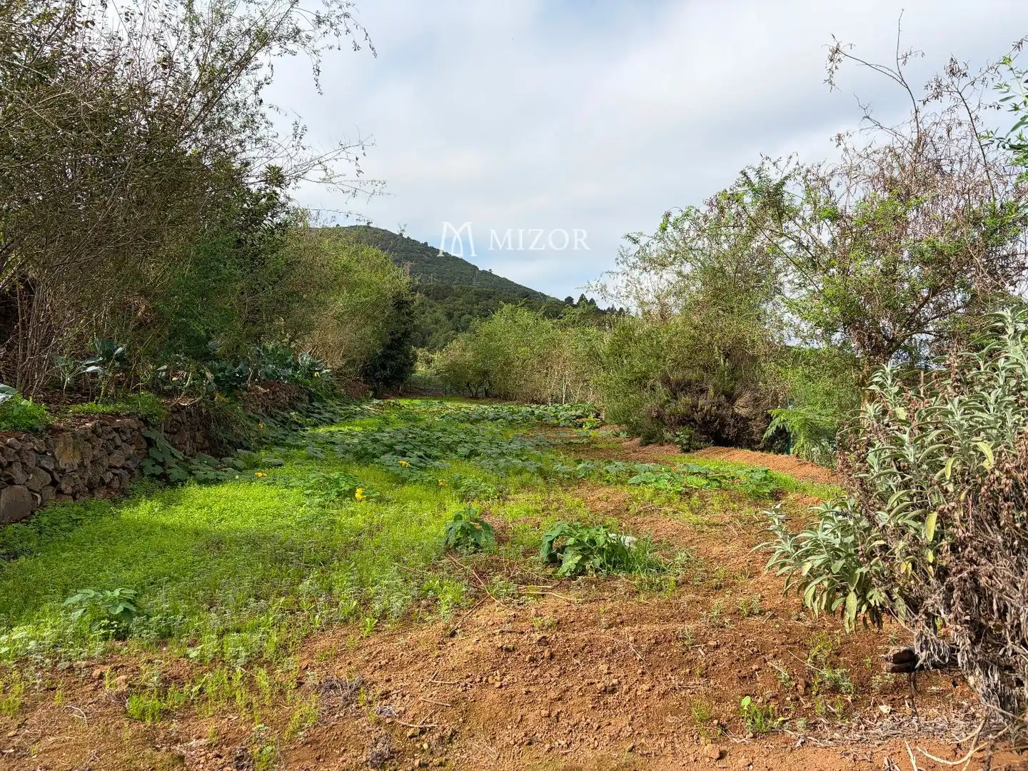 Rural land for sale in el rodeo, imagen 28