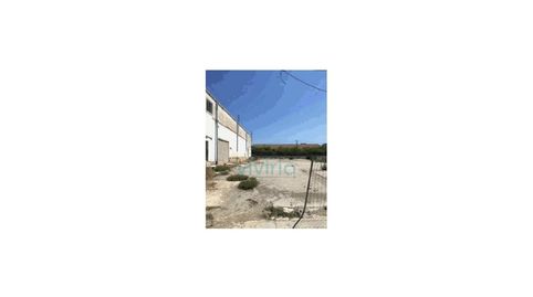 SUELOS en AV DE LES CENDROSSES, SUECA, imatge 4