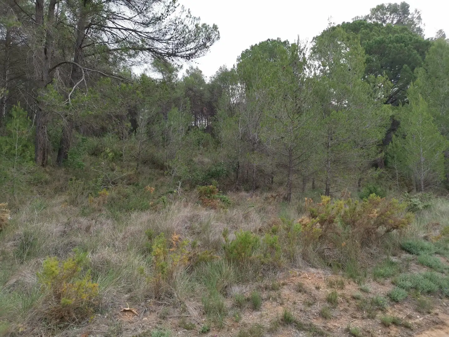 Residencial en venda en El Montmell