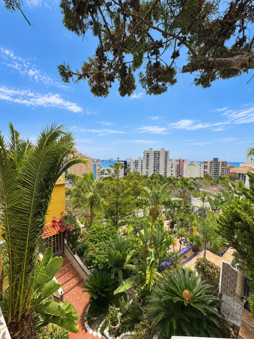 Vista exterior de Casa o chalet en venta en Sant Antoni
