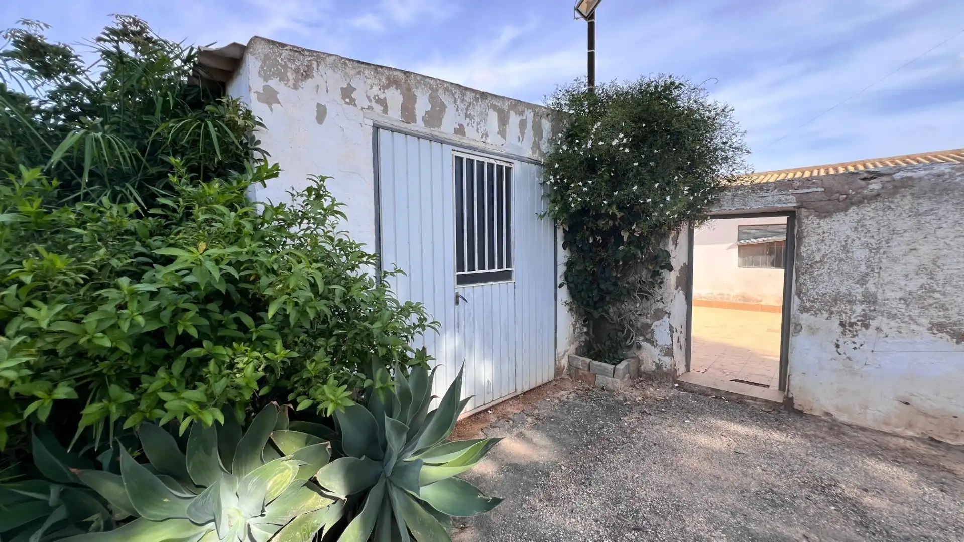 Garden of Country homes for sale in Torre-Pacheco  with Private garden