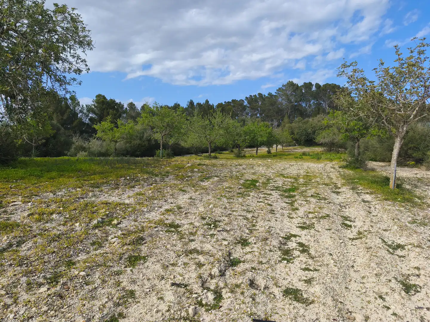 Terreno rustico in vendita a Sant Joan, imagen 5