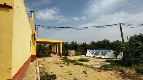 Photo 3 of Land for sale in Mata Alcozarina, Morón de la Frontera, Sevilla