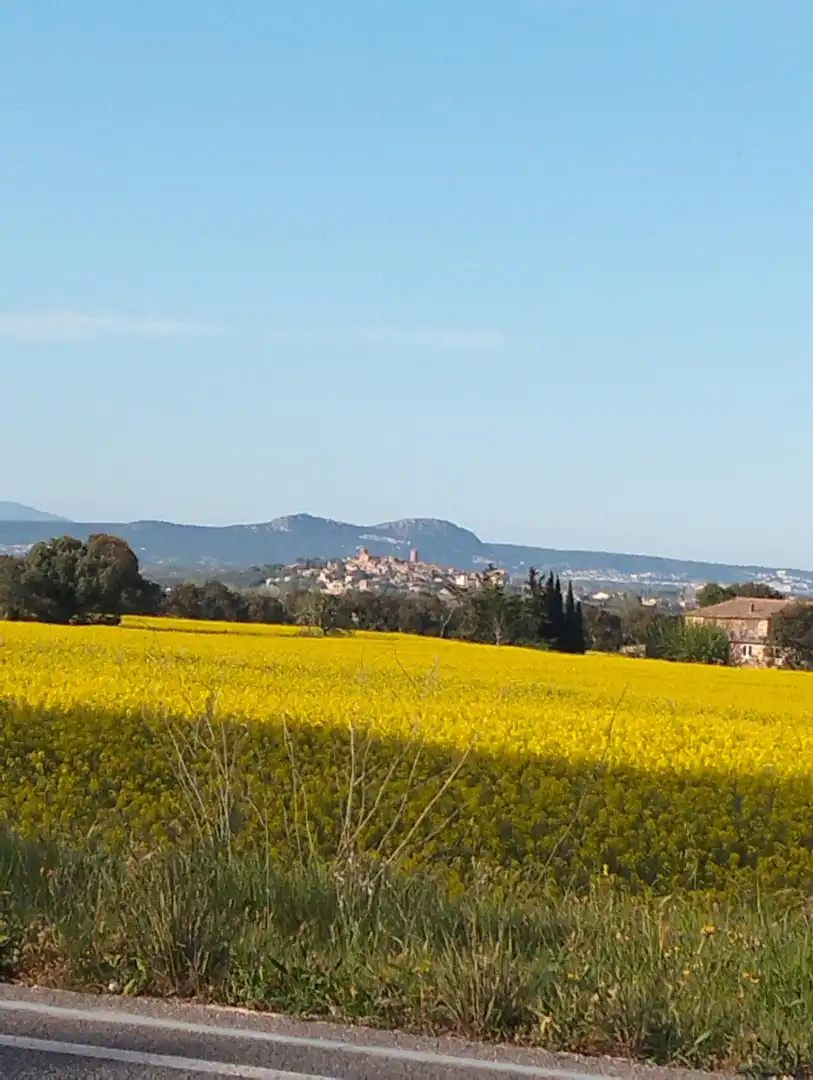 Vista exterior de Àtic de lloguer en Ullastret