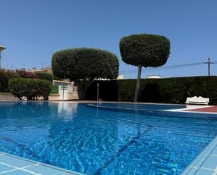 Swimming pool of House or chalet for sale in Torrevieja  with Community pool