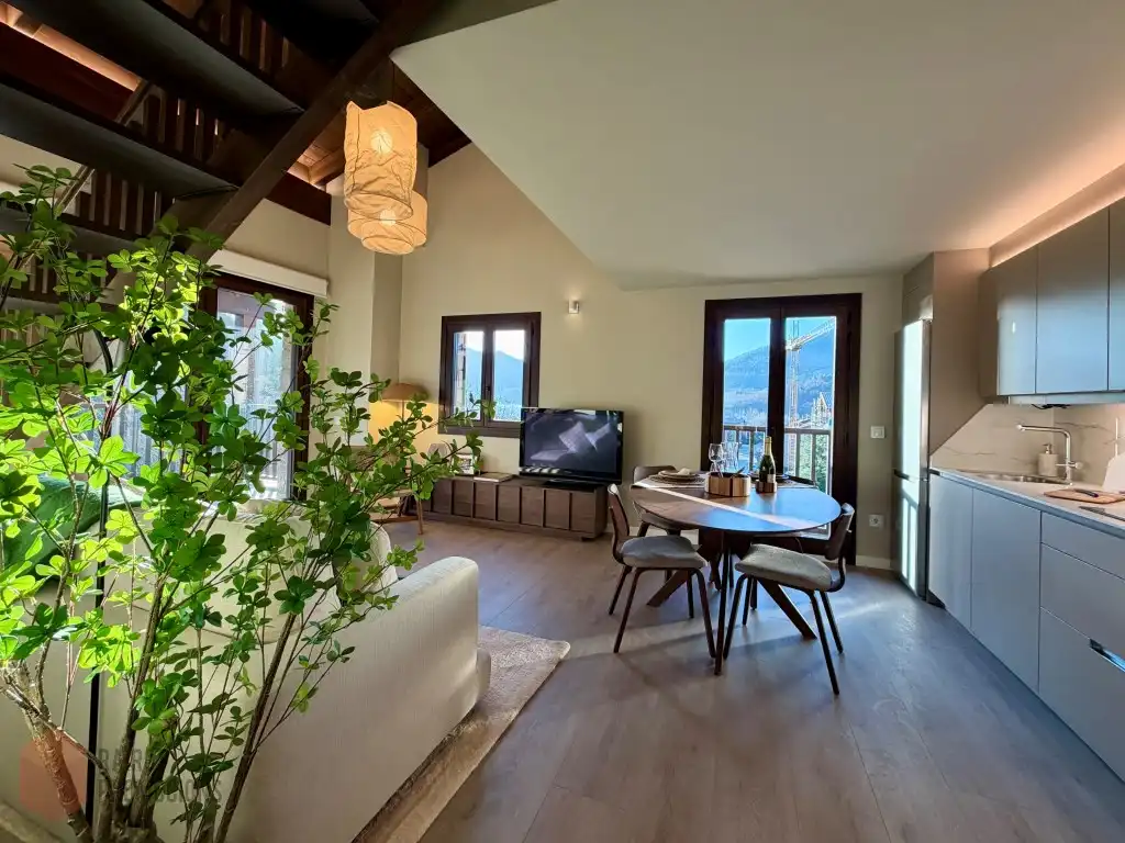 Sala de estar de Ático en venta en Camprodon