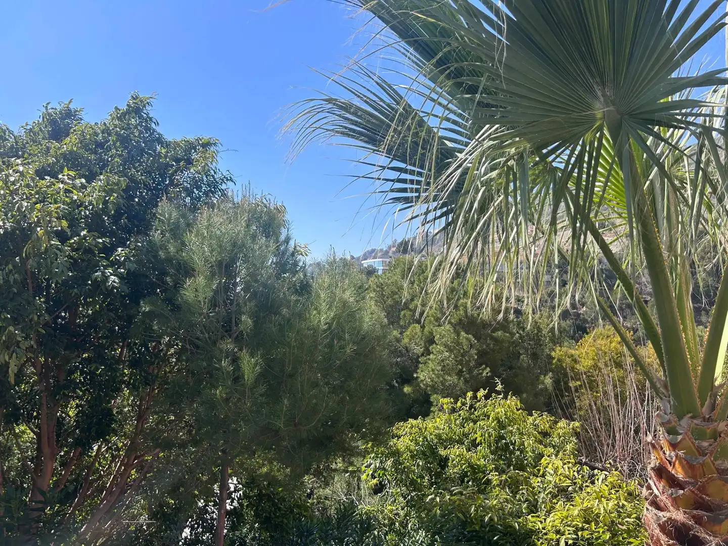 Garten von Einfamilien-Reihenhaus zum Verkauf in Altea mit Klimaanlage, Heizung und Privatgarten